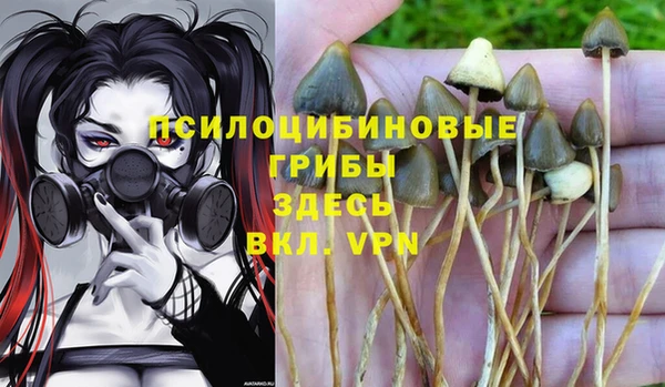 не бодяженный Липки