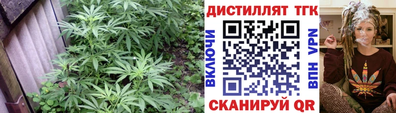 Дистиллят ТГК Wax  Болохово 