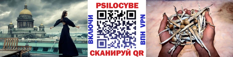 Псилоцибиновые грибы мухоморы  Болохово 